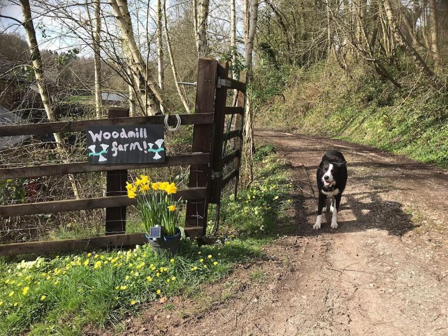 Woodmill Farm Cottage Alvington 외부 사진